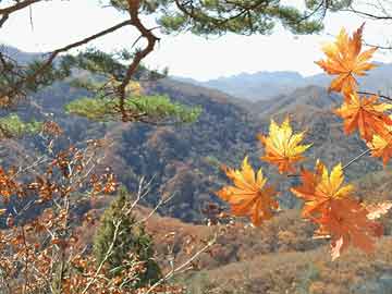 威海需要办理签证吗，武汉市日本签证代办处