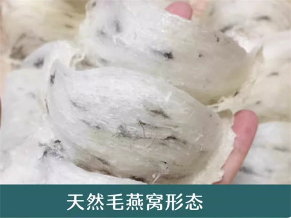 水蜜桃燕窝饮料？水蜜桃燕窝饮料好喝吗